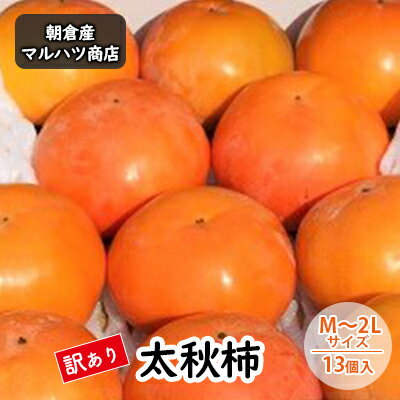 【ふるさと納税】訳あり 柿 太秋柿 M～2Lサイズ×13個入 マルハツ商店 配送不可：離島 果物 フルーツ 秋の味覚 おやつ デザート 産地直送 大玉 果汁 多い さくさく 福岡県産 朝倉市産 　お届け：2025年10月1日～10月20日