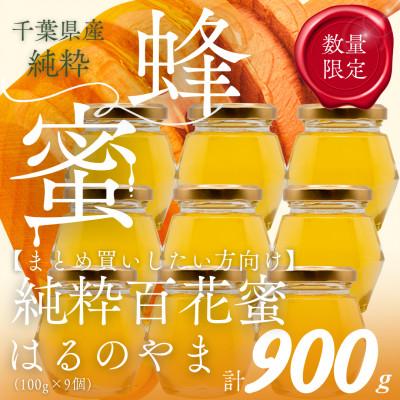 ふるさと納税 大網白里市 千葉県産純粋はちみつ「はるのやま」(百花蜜)【計900g】100g×9個