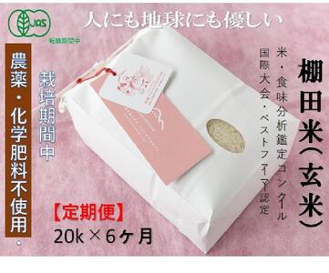 【2025年産新米】【6ヶ月定期便】【有機JAS認証米】魚沼コシヒカリ 苗場プリンセス・プレミアム 玄米 20kg(5kg×4袋)×6回 計120kg