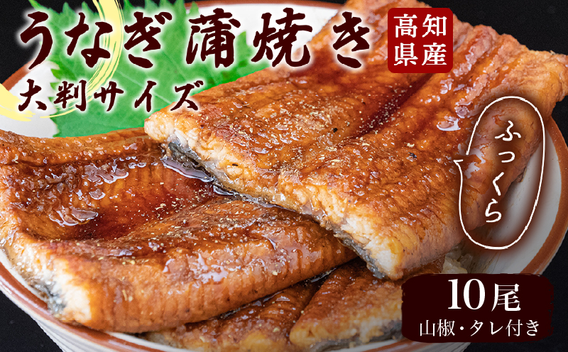 高知県産うなぎの蒲焼き 200g×10尾セット
