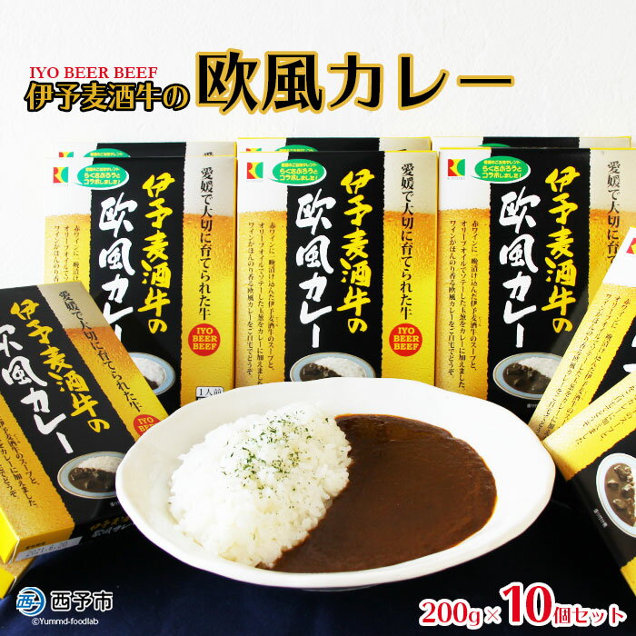 【ふるさと納税】ご当地カレー＜伊予麦酒牛の欧風カレー 10個＞レトルト食品 惣菜 加工品 キャンプ 夜食 保存食 非常食 防災 備蓄 長期保存 ローリングストック アール・シー・フードパック 特産品 愛媛県 西予市【常温】『1か月以内に順次出荷予定』