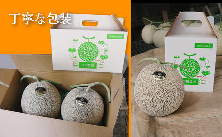 【定期便2ヵ月】糖度15度以上 赤肉メロン 富良野産 特秀品メロン 2kg×1玉 1箱×全2回｜北海道富良野市 7～8月発送 贈答用 ギフト プレゼント メロン 赤肉メロン 富良野メロン 果物 フルー