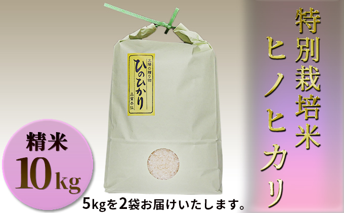 特別栽培米　ヒノヒカリ　精米10kg（5kg×2袋） お米 