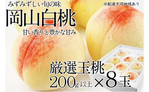 桃 2026年  岡山の白桃 200g以上×8玉 | 白桃 旬 みずみずしい 晴れの国 おかやま 岡山県産 フルーツ王国 果物王国