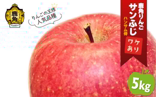 《 先行予約 》鹿角りんご 訳あり「サンふじ」約 5kg ●2026年1月中旬発送開始 【ハンサム侍】リンゴ 林檎 フルーツ グルメ ギフト 故郷 秋田 あきた 鹿角市 鹿角 送料無料 