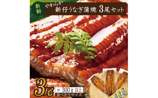 やわらか新仔うなぎ食べ切りサイズ100～120g　3尾　計300ｇ以上(AD-105-1)