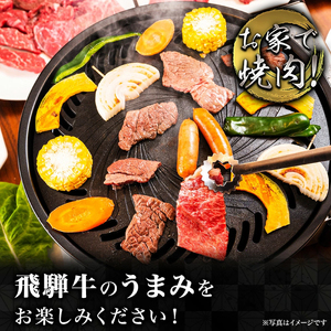 飛騨牛　贅沢食べ比べ12種いろいろ焼肉