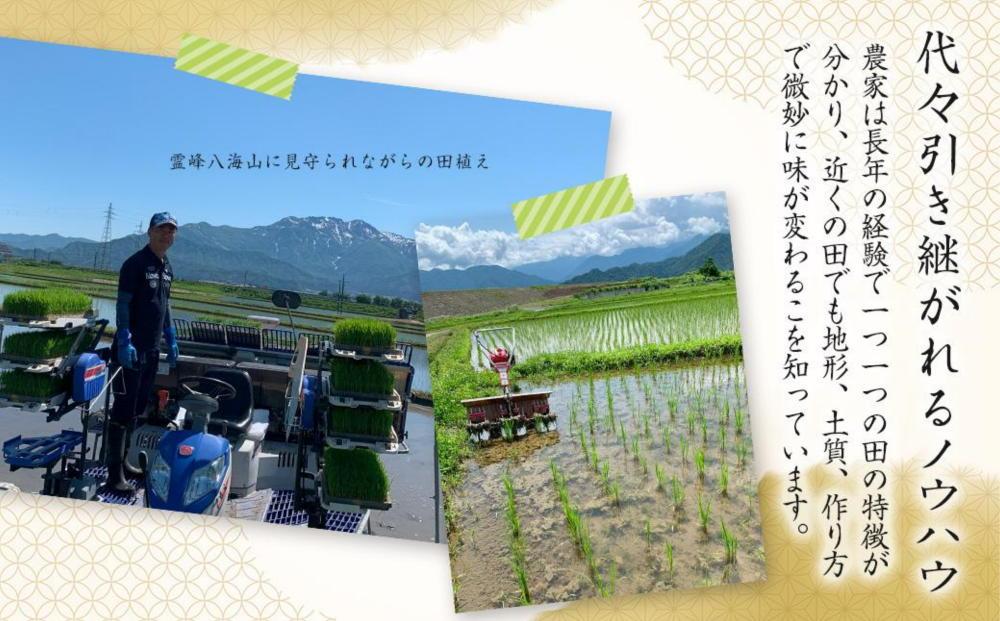 【生産者直送】【令和７年産 新米】 南魚沼産こしひかり10kg(5kg×２) 白米 オグライスファーム＜コシヒカリ 精米 農家直送＞　【2025年11月上旬頃より順次発送予定】