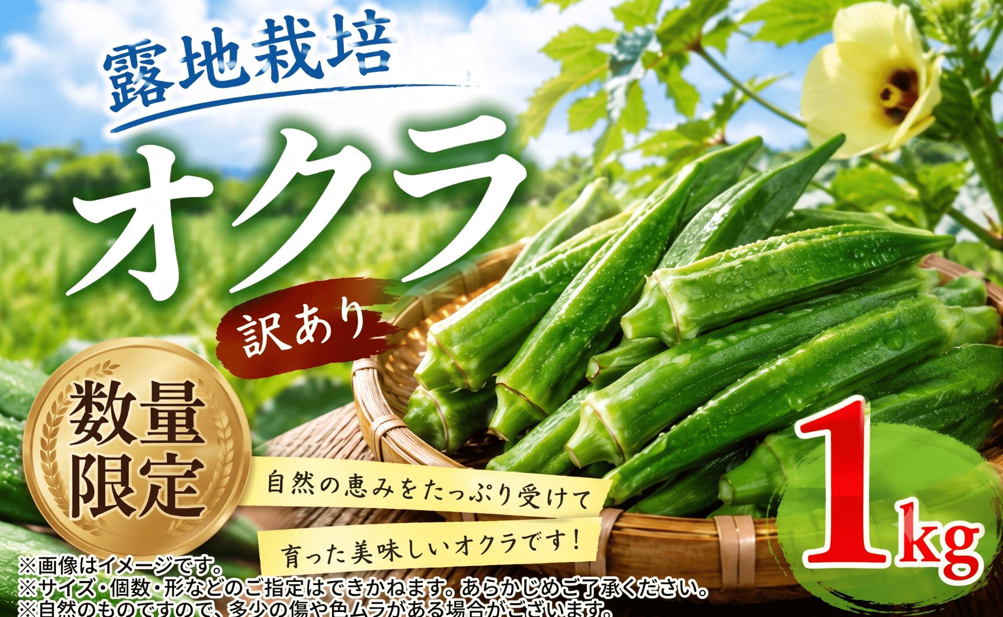 
                  【先行予約】 【チョイス限定】 訳あり オクラ 1kg 朝どれ 数量限定 不揃い 野菜 ふるさと納税 愛媛県 愛南町 お試し 試供品 お手軽 5000円 アーリーファイブ 夏野菜 農家直送 ハル農園
                