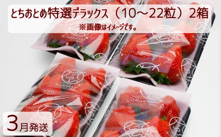 【3月発送】とちおとめ特選デラックス（10～22粒）2箱