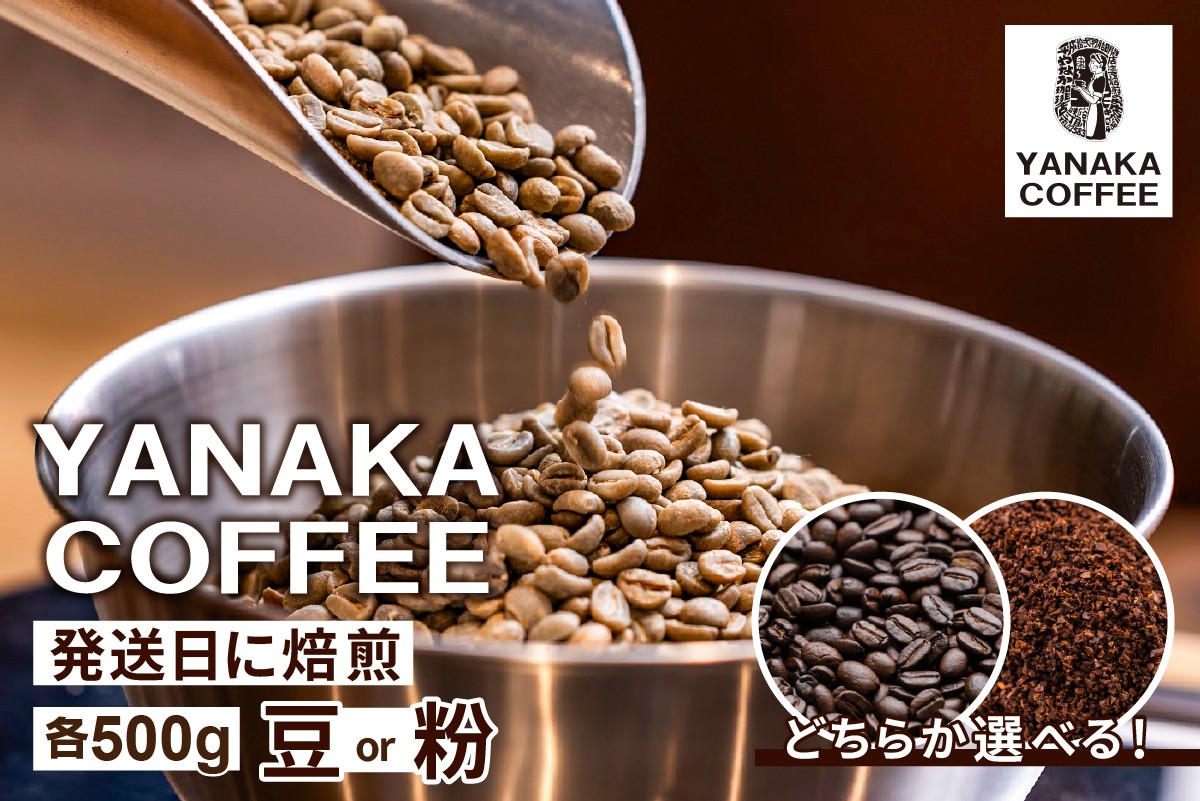 
            【種類が選べる】【YANAKA COFFEE】代々木公園ブレンド500gコーヒー豆【 コーヒー 珈琲 豆 中挽き フルシティーロースト 焙煎 ブレンド カフェタイム 】
          