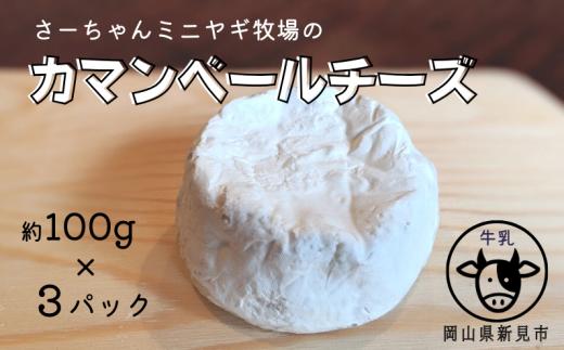 【限定：11月～3月発送・牛乳使用】カマンベールチーズ 約100g×3パック