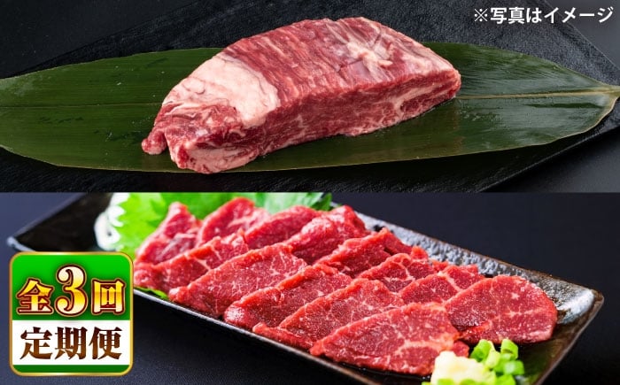 
            【全3回定期便】 あか牛 ステーキ用ヒレ肉(約800g)、馬刺し(約200g)セット 計約1kg / 牛肉 馬肉 食べ比べ　【合同会社 たべたせいか】 [BHBY017]
          