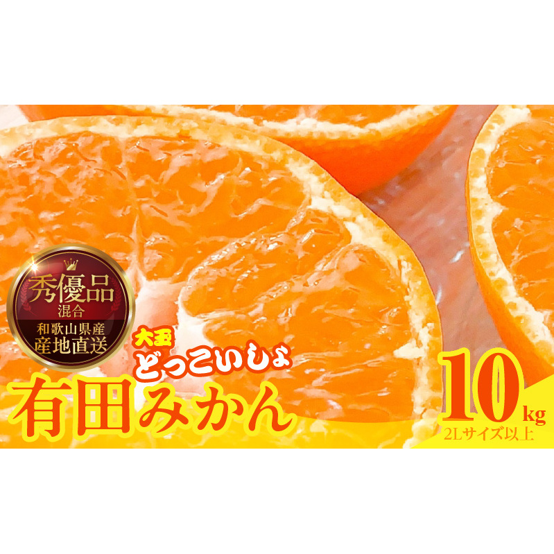 【2026年先行予約】みかん 大玉 どっこいしょ 箱込 10kg ( 内容量 9.2kg ) 2Lサイズ以上 秀品 優品 混合 有田みかん 和歌山県産 産地直送 【みかんの会】_MK1034