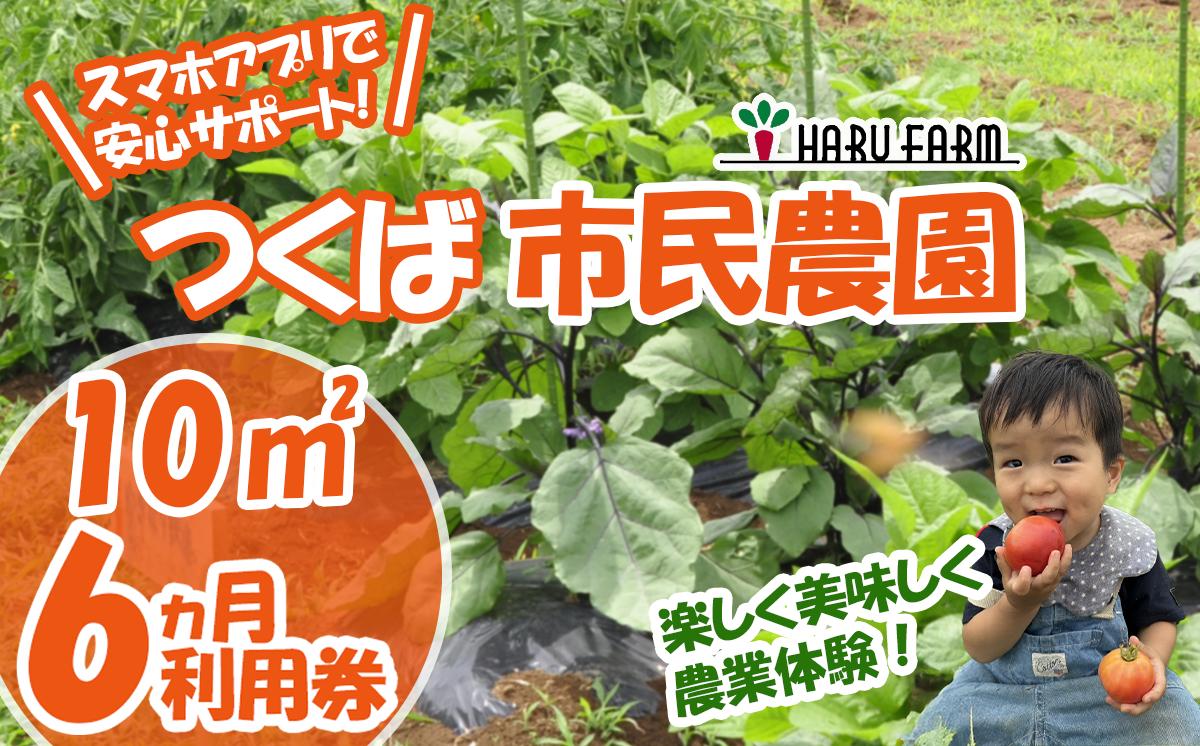 【専用スマホアプリがサポート！】ハルファームの市民農園利用券　(10㎡ 6ヵ月分) 【 茨城県 つくば市 農園 貸農園 貸し農園 農業体験 農業 野菜収穫 体験 野菜体験 チケット 旬野菜 採れたて野菜 】