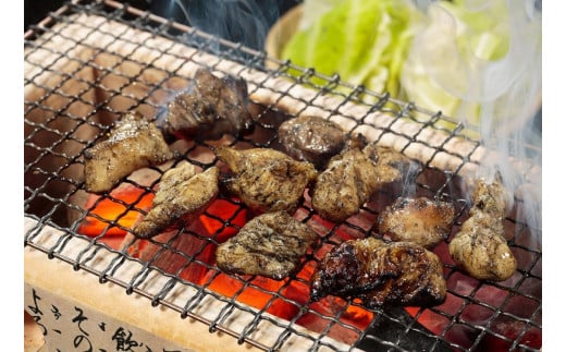 【博多大丸おすすめ品】はかた地どり　炭火焼セット100g×5