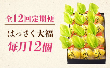 【12回定期便】お菓子 はっさく大福12個入 お菓子 大福 八朔 柑橘 みかん オレンジ 餅 ギフト お取り寄せ スイーツ フルーツ大福 ご当地 菓子 おかし デザート 食品 人気 おすすめ 広島県福