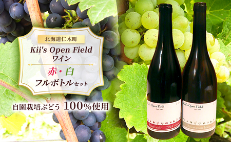 ワインセット 赤白飲み比べ 北海道産 ワインセット【750ml 計2本】