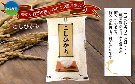 No.669 こしひかり10kg【坂東市産】