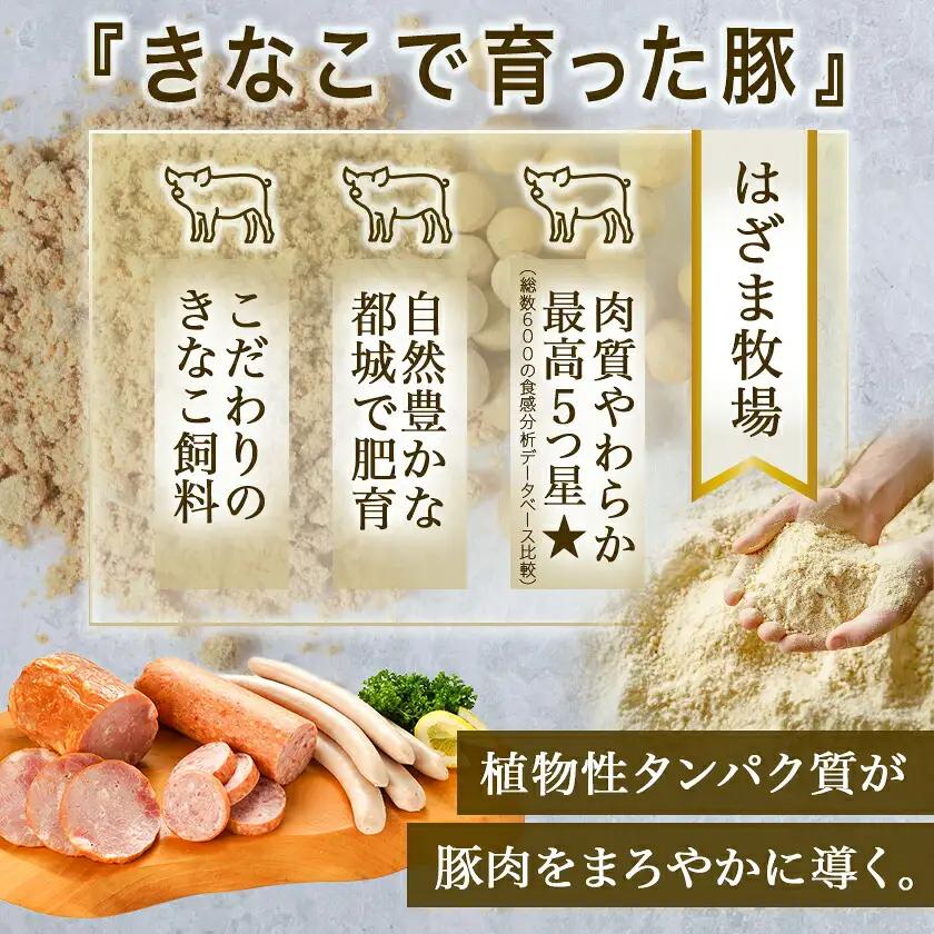 「きなこ豚」加工品Bセット〔MJ-1209〕_(都城市) きなこ豚 ブランドポーク プレスハム ソーセージ 生ウインナー 味噌漬け ベーコン 生ハム 加工品 おかず 冷凍