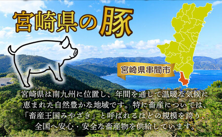 KU481-n2412 ＜2024年12月発送分＞宮崎県産 豚肉切り落とし 250g×20パック 合計5kg