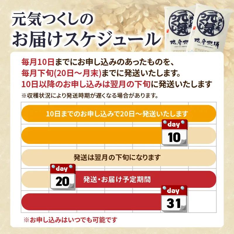 九州・福岡からお届け！ブランド米「元気つくし」定期便 10kg(5㎏×2)【全3回】 お米 米 コメ 白米 特A 直送 お弁当 おにぎり 炊きたて ツヤ 粘り もちもち 弾力 卵かけご飯 福岡県 八女