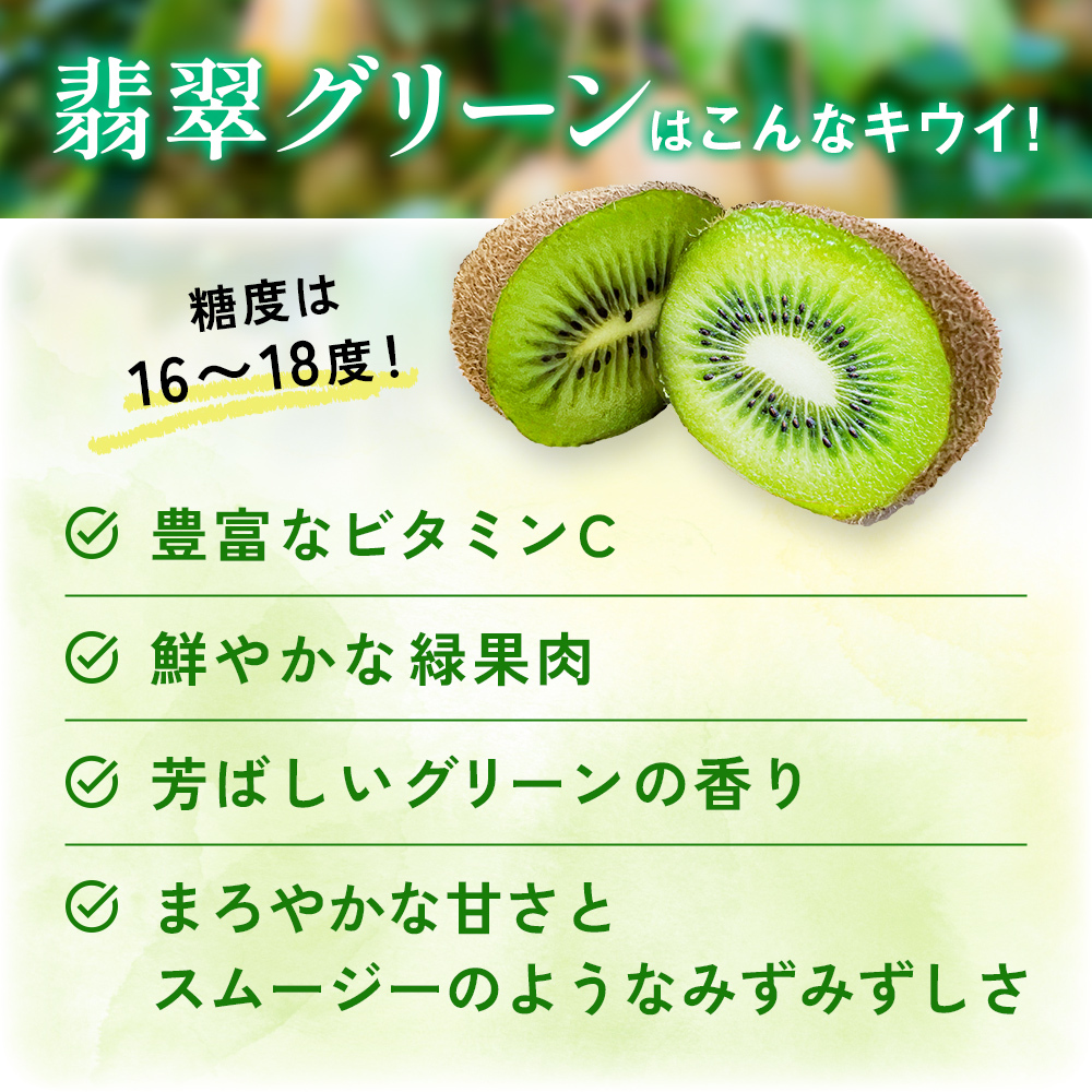 訳あり翡翠グリーン4.5kg（小玉、擦り傷、日焼け） 数量限定 希少 国産 甘い 氷見キウイランド 富山県 氷見市
