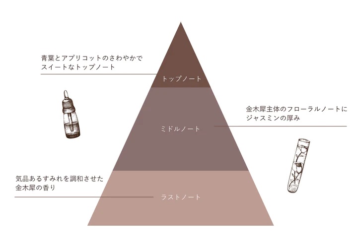 【Sophie&Mira】メアコ オードパルファン ※着日指定不可