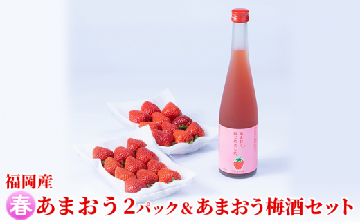 
いちご あまおう 2パック 春 ＆あまおう梅酒 あまおうはじめました。 500ml×1本セット 配送不可 離島
