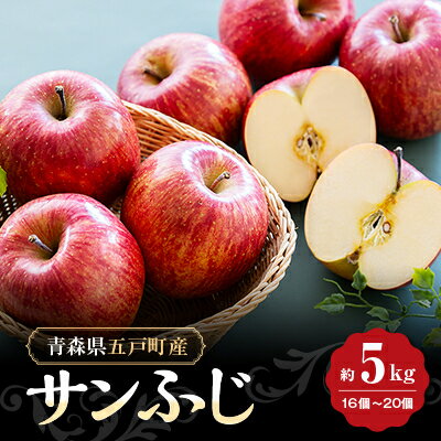 【ふるさと納税】【青森県五戸産】りんご(サンフジ)約5kg(16個～20個入り)【配送不可地域：離島・沖縄県】【1362334】