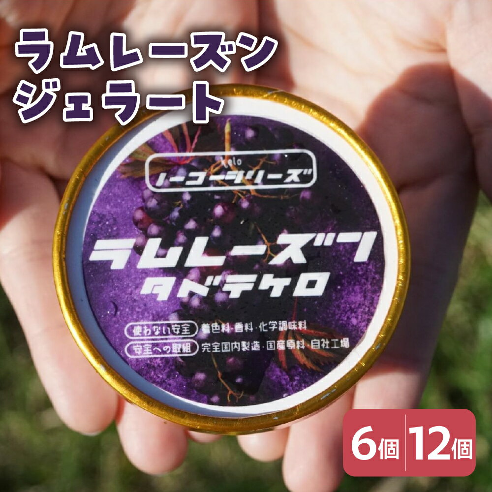 【ふるさと納税】ラムレーズン ジェラート 104ml〔6個入り・12個入り〕 レーズン アイス スイーツ 洋菓子 お菓子 デザート 贈答 贈り物 ギフト プレゼント お取り寄せ 送料無料 山形県 米沢市