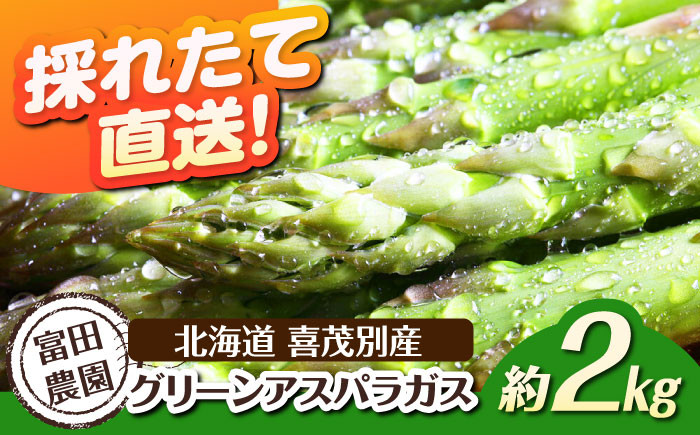 
            【2026年分予約開始！】喜茂別産 採れたて！グリーンアスパラガス 約2kg 《喜茂別町》【富田農園/スプレス】 アスパラ アスパラガス グリーンアスパラガス 季節の野菜 春野菜 先行予約 北海道 [AJAJ005] 23000 23000円
          