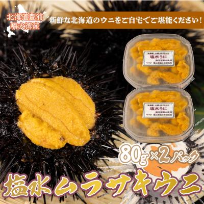 ふるさと納税 豊浦町 先行受付 うに 塩水ムラサキウニ 80g×2 北海道豊浦 噴火湾【配送不可地域:離島】TYUR021
