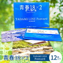 【ふるさと納税】青春18×2 TADAMI LINE Postcard　はがき