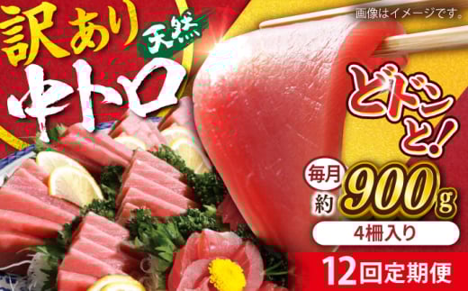 【全12回定期便】【訳あり】天然 まぐろ 中トロ メバチ 計約900g (4柵入り) マグロ 定期 鮪 まぐろ 中とろ 刺身  定期便【横須賀商工会議所 おもてなしギフト事務局（本まぐろ直売所）】 [AKAK052]