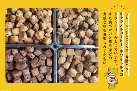 ザクザク スコーン オススメ10コセット(1) (プレーン チョコチップ 発酵バター キャラメルコーヒー ホワイトチョコクランベリー)各2個 計10個