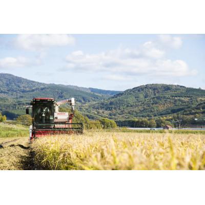 ふるさと納税 深川市 北海道産 特別栽培米ふっくりんこ 白米 5kg×2袋 |  | 03