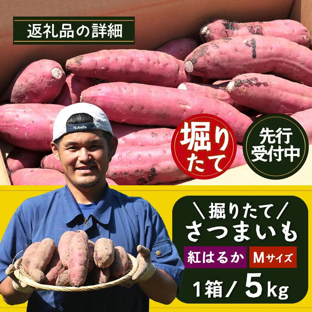 【先行予約：2026年9月中旬配送～】掘りたて さつまいも 紅はるか 5kg Mサイズ (おすそ分け袋／自宅で簡単レシピ付き）FR-204 | 秋の味覚 2026年秋収穫 新物 さつまいも サツマイモ