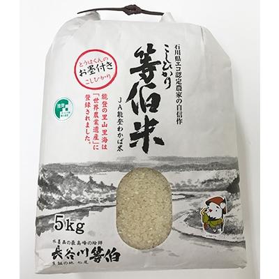 ふるさと納税 七尾市 【令和7年産】等伯米コシヒカリ10kg (5kg×2袋) |  | 02