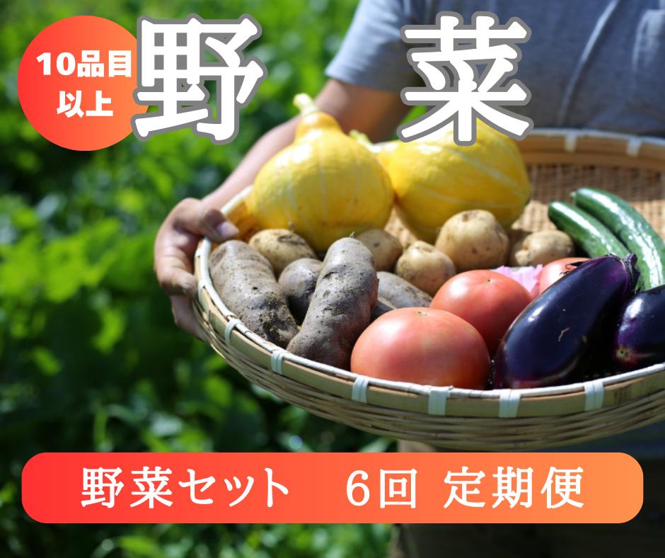 
            【定期便6回】注文が来てから収穫発送！収穫したばかりの新鮮野菜セット 《10品以上保証》 季節のお野菜 おまかせ お楽しみ 獲れたて産地直送 旬 鍋 冬野菜 ベジタブル ヘルシー 健康   詰め合わせ 一関市
          