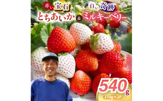 【2027年先行予約】真岡市産 赤い宝石「とちあいか」・白い奇跡「ミルキーベリー」セット 540g | 贈答用 プレゼント