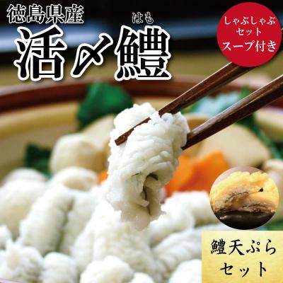 ふるさと納税 小松島市 鱧 しゃぶしゃぶ 天ぷら セット 新鮮 産地直送高級料亭 活け鱧 鱧しゃぶセット