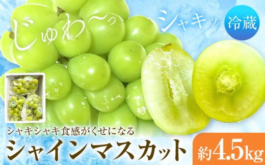 シャインマスカット 6-7房 4.5kg タンポポ農園《2026年9月上旬-10月下旬頃出荷》送料無料 岡山県 浅口市 フルーツ マスカット ぶどう 果物 贈り物 秋 冷蔵