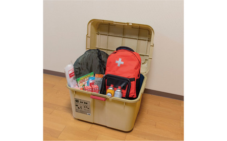 スペースボックス620 コヨーテ 2個組 70L 防災 アウトドアコンテナ キャンプ用品 宅配ボックス