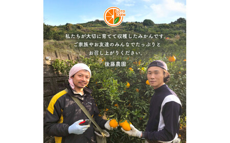 【 6キロ × 2箱 】 たまな産 温州みかん 12kg | 果物 くだもの フルーツ 柑橘類 柑橘 みかん ミカン 蜜柑 熊本 玉名