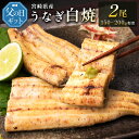 【ふるさと納税】［父の日］うなぎ白焼きギフト 2尾（150～200g/1尾あたり）宮崎県産鰻 蒲焼きタレ付（50ml×1本）