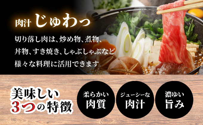 佐賀牛切落し540g 【42yc-012】