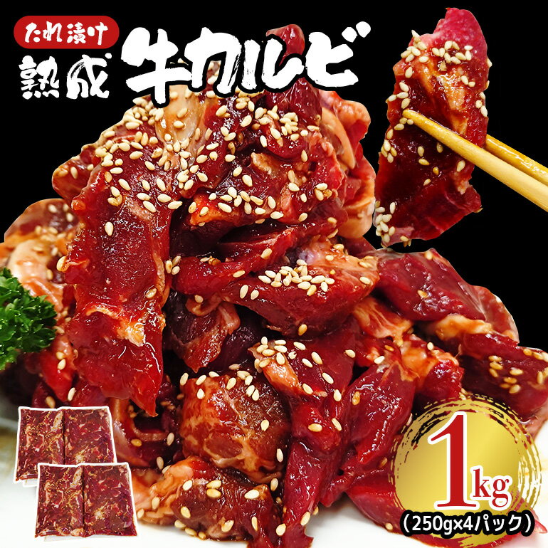 【ふるさと納税】熟成牛 カルビ 1kg (250g × 4パック) たれ 味付 小分け 冷凍 焼肉 焼き肉 牛 牛肉 肉 ビーフ カルビ 牛カルビ バーベキュー BBQ 【そうざい男しゃく（株式会社池延）】【ho1471】