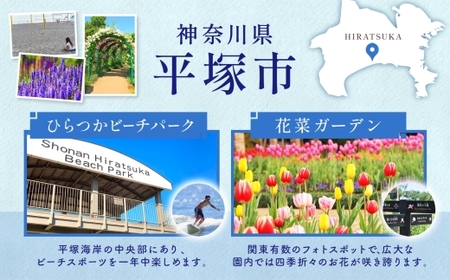 成城石井 成城石井ブレンドコーヒー 450g×3パック 珈琲 豆 コーヒー豆 コーヒー 珈琲豆 香り コク アラビカ種 プレゼント ギフト 送料無料 神奈川県 平塚市  中挽き（ペーパーフィルター用）