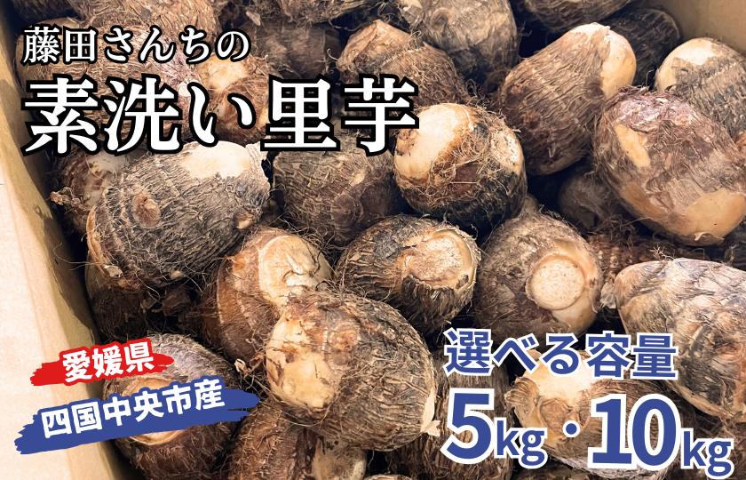 
                  藤田さんちの素洗い里芋 （四国中央市産） 5kg 10kg
                